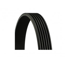 ΙΜΑΝΤΑΣ ΔΥΝΑΜΟΥ ΚΑΝΑΛΩΤΟΣ 6PK1693 AUDI 100 C3 443 AUDI 100 C3 Avant 445 AUDI 100 C4 4A2 AUDI 100 C4 Avant 4A5 AUDI A1 8X AUDI A3