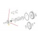 ΤΡΟΧΑΛΙΑ ΣΤΡΟΦΑΛΟΥ OM611 OM612 OM646 OM647 MERCEDES-BENZ C-CLASS W203 MERCEDES-BENZ E-CLASS W210 MERCEDES-BENZ E-CLASS W211 MERC