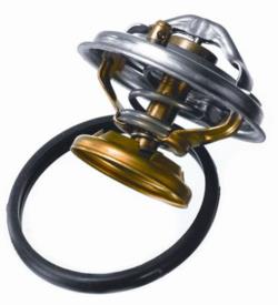 ΘΕΡΜΟΣΤΑΤΗΣ 601 WAHLER 80C